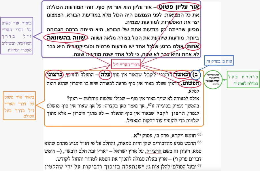 מבנה הדף